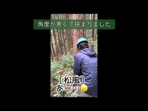 チェーンソー体験long version