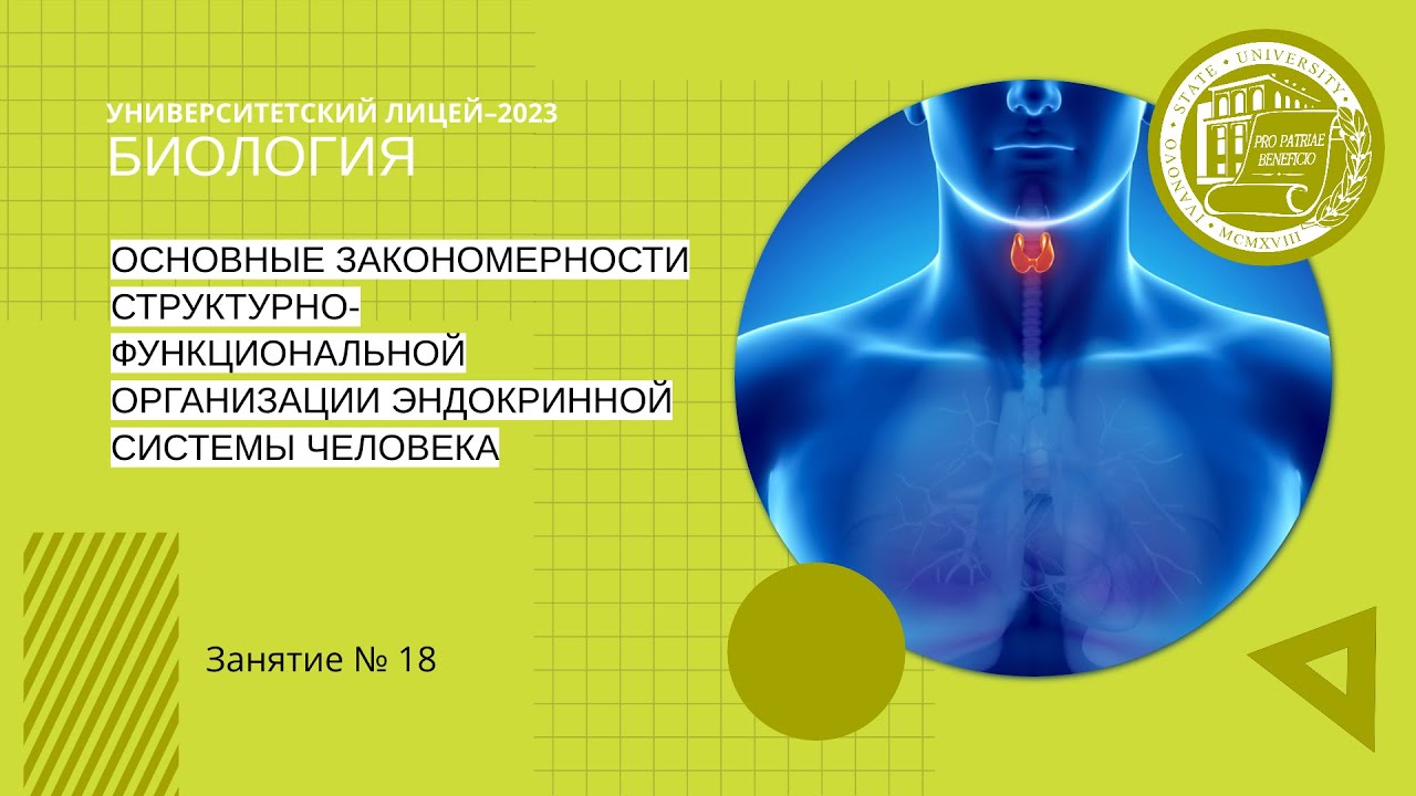 Эндокринология 2023. Структурно-функциональная организация эндокринной системы.