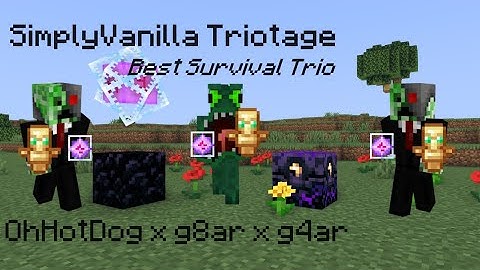 Gods of simplyvanilla.net (g4ar, g8ar, ohhotdog)