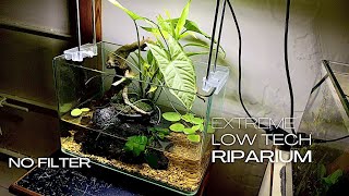 HOW TO MAKE AN EASY RIPARIUM | LOW TECH | NO FILTER | AQUASCAPING TUTORIAL