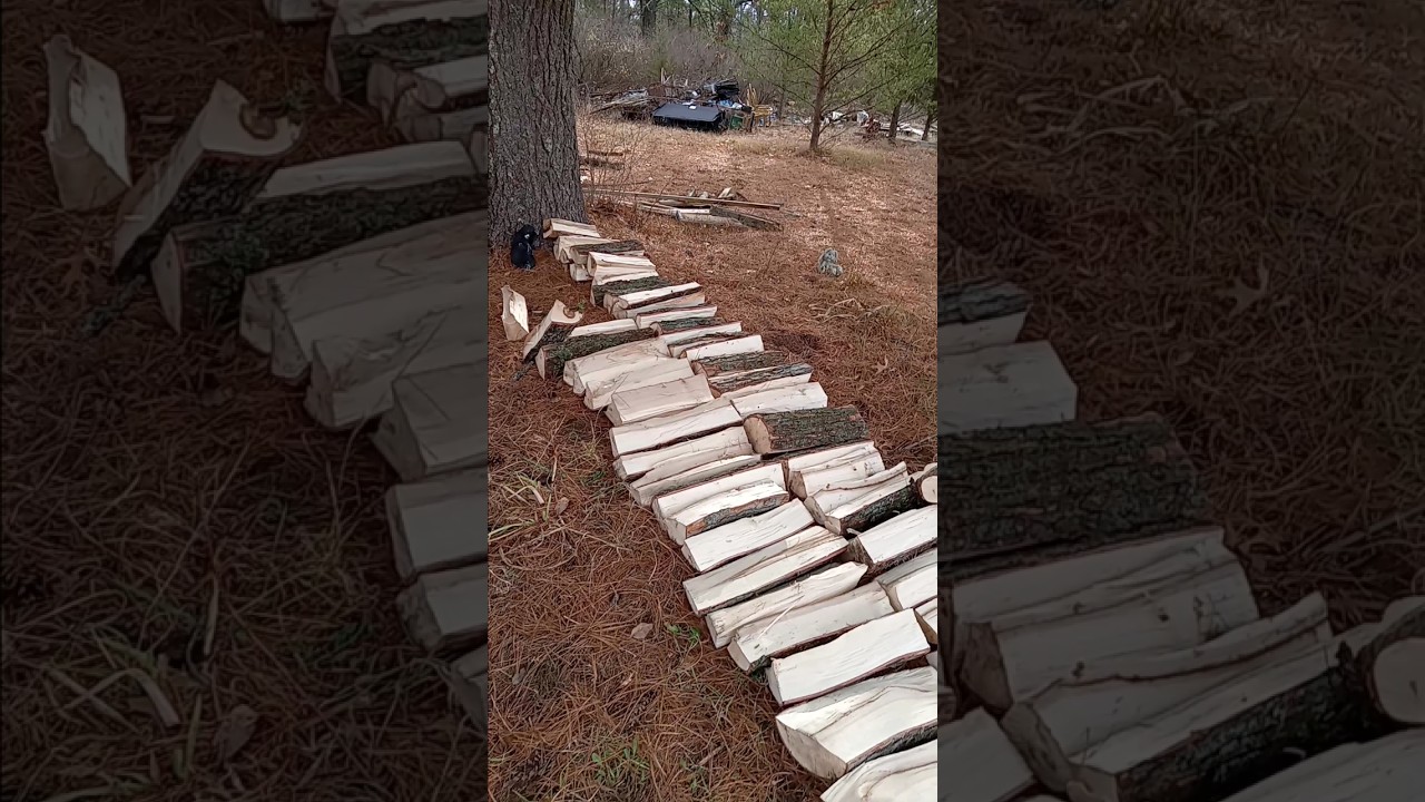 HOW TO START A NEW WOOD PILE FORMATION ON HOMESTEAD. - YouTube