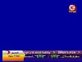 طيور الجنة شاشة مباشر طيور الجنة شاشة مباشر