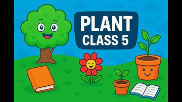 Plant EVS for Class 5