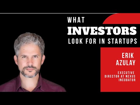 Guide to What Investors Look For in a Startup - Erik Azulay