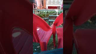 lagu dangdut pecah piring