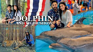 DOLPHIN SHOW MAI PRANK HOGYA 😂 | Expensive Painting Khareedni Par Gai 😭