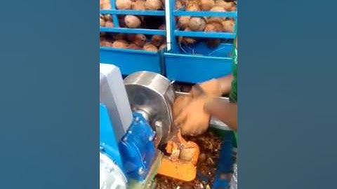 New Coconut Deshelling Machine 🥥  | Coconut Processing Machinery