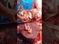 Fish cutting skill live #shorts #Rohufishcutting #fish