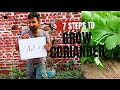 How to grow Coriander (دھنیا)? Kitchen garden? Healthy Vegetables for human? Part 1.