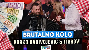 BRUTALNO KOLO - BORKO RADIVOJEVIC & TIGROVI | 2022 | UZIVO | OTV VALENTINO NOVOGODISNJI PROGRAM