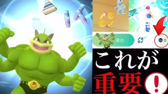 ワンリキー Youtube