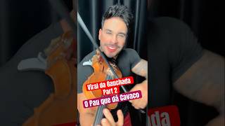 Part 2 - O Pau que dá Cavaco - Violin cover #joaoluizcorrea #violin #violinista #gaucho