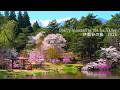 8 famous cherry blossom spots in Ina Valley, Nagano. Takato was still amazing!