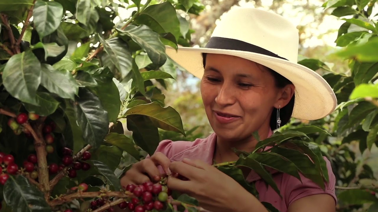 FNC - Partner for Project Implementations