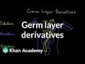 Germ layer derivatives | Behavior | MCAT | Khan Academy
