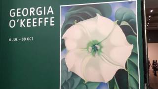 Tate Modern Barrel Of Bones Georgia Okeeffe 2016 Alan Rollings - Original Music By Letsviewitnow