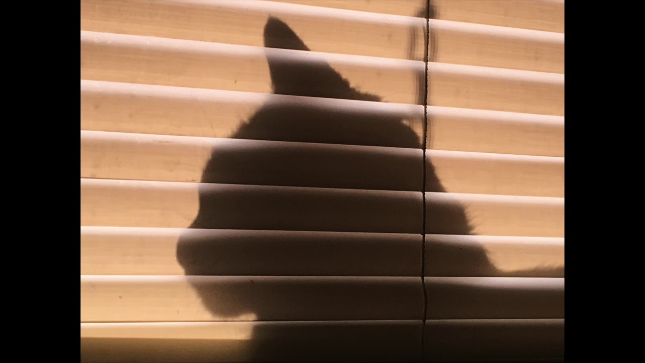 S W Toe Jam Football (Official Audio)🎶👽🎶 YouTube