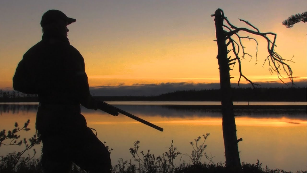 Охота в финляндии Охота в финляндии