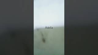 Download Lagu adellaaaaaa 🙄👍 MP3