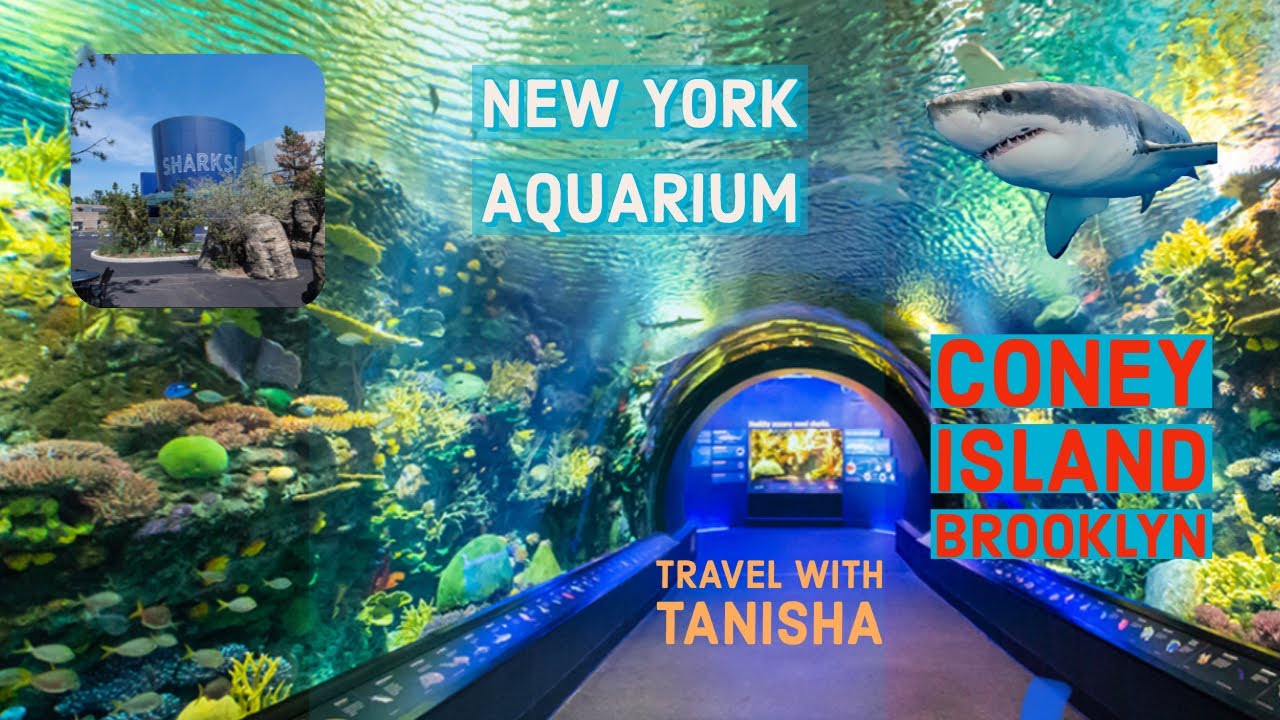 New York Aquarium Brooklyn Coney Island Travel With Tanisha