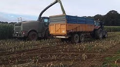 Ensilage de maïs 2019 Fendt katana 65 [ETA de L'Oust]