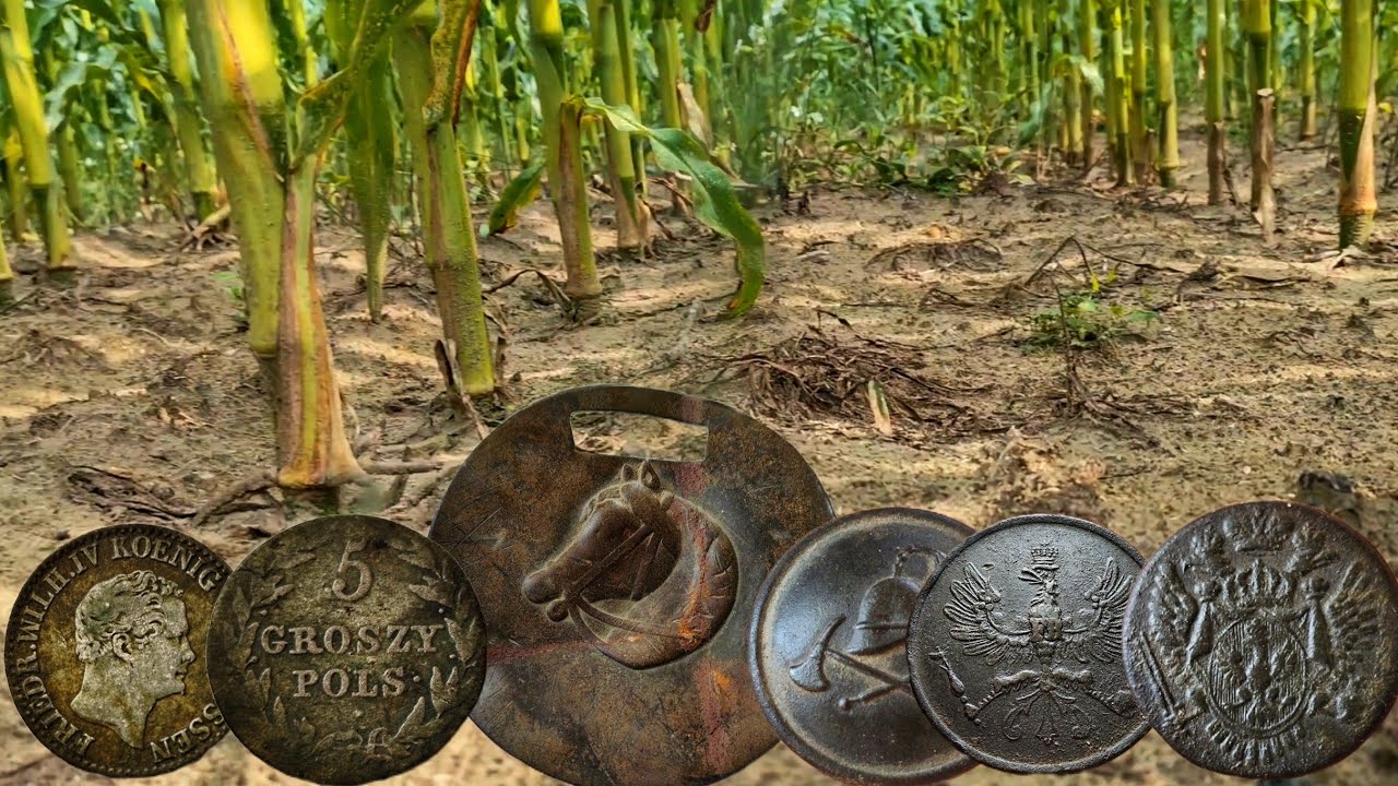 Wykopki odc 246 - Ile tego tu jeszcze leży?