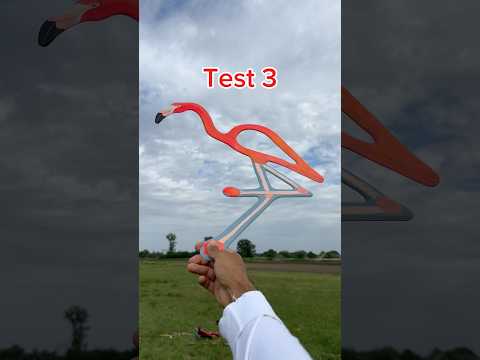 Animal shaped boomerangs!