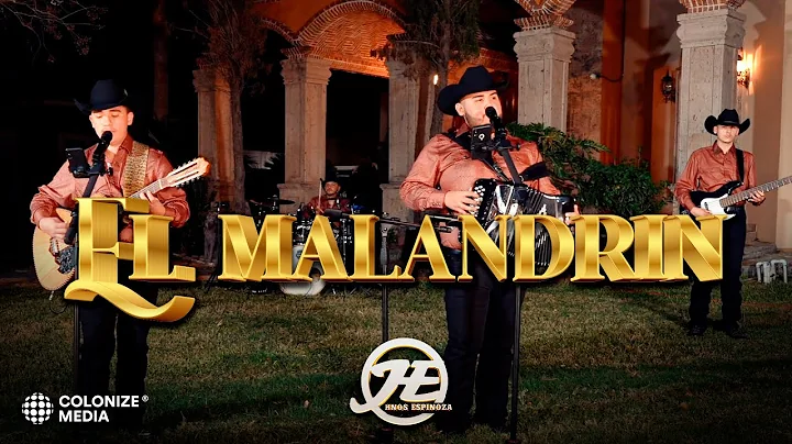 Hnos Espinoza- El Malandrin (EN VIVO)