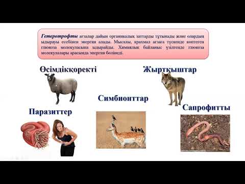 Бейне: Гравитациялық қоректенетін дәретхана дегеніміз не?