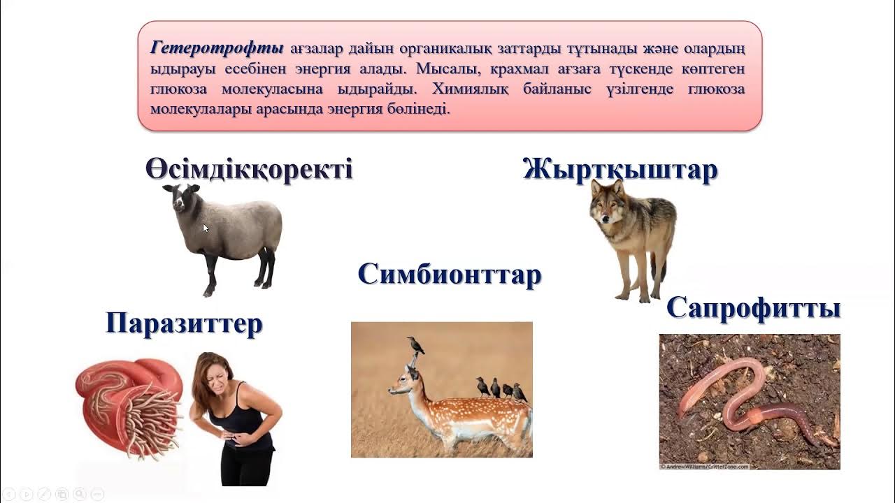 Жалаңаш, өте арық қыздардың фотосуреттерін қараңыз