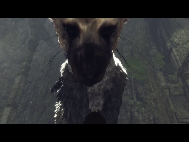 Trico is still cute in new The Last Guardian trailer — GAMINGTREND