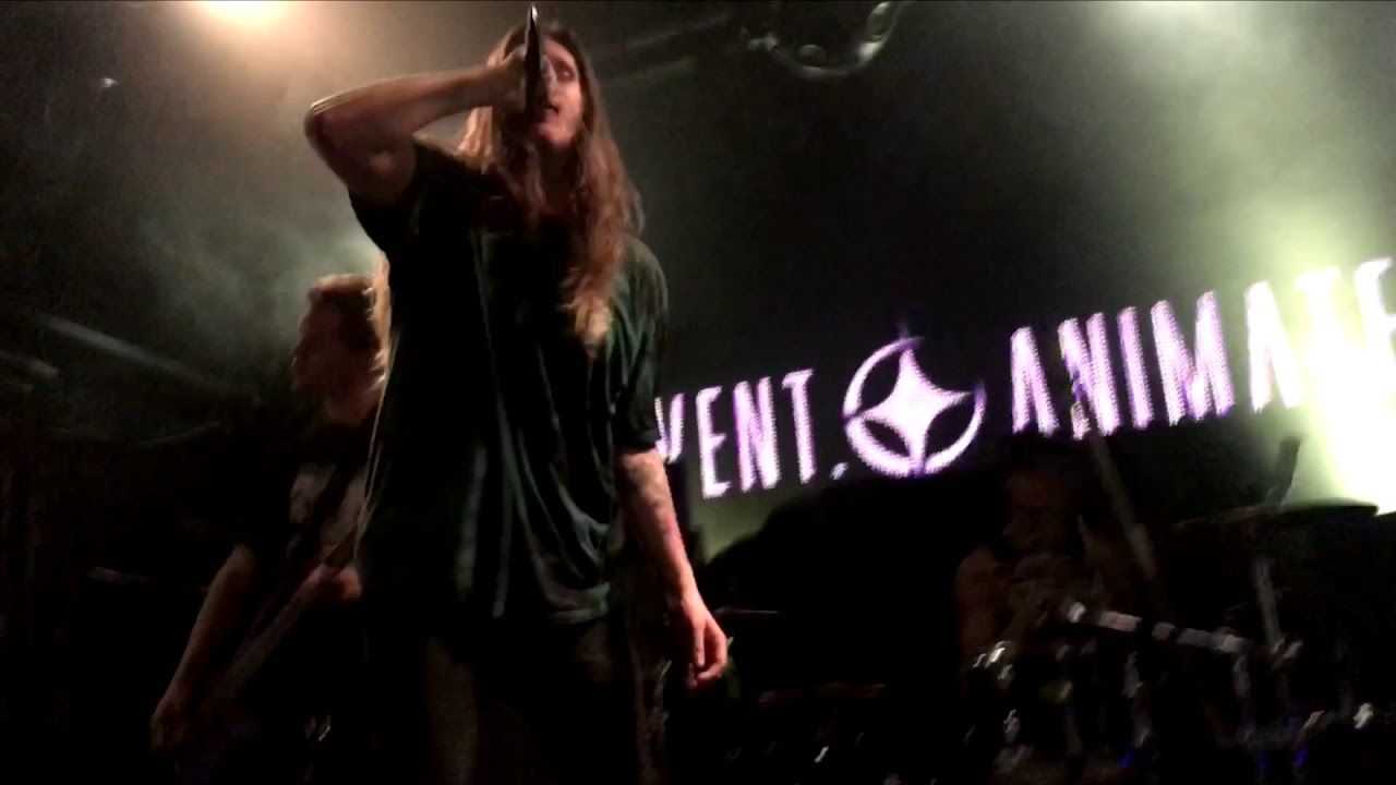 Watch INVENT, ANIMATE - Naturehold Ft. Jesse Cash ( live @Flex, Vienna 2017.12.10) on YouTube Watch INVENT, ANIMATE - Naturehold Ft. Jesse Cash ( live @Flex, Vienna 2017.12.10) on YouTube