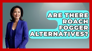 Are There Roach Fogger Alternatives? - Insects and Invaders