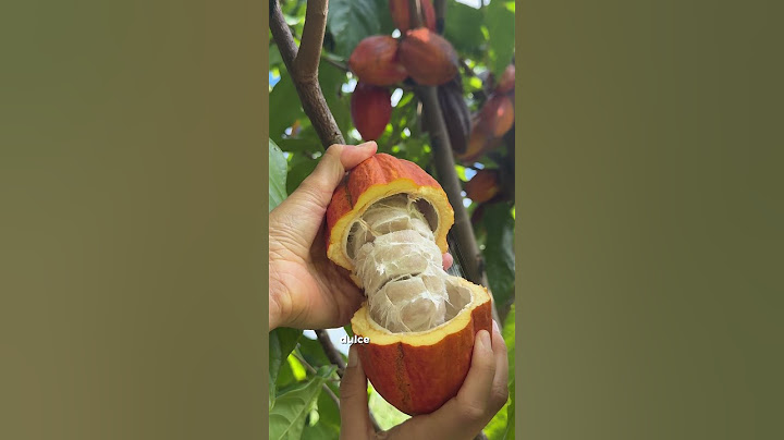 Comiste Esta Fruta Toda Tu Vida Sin Saberlo