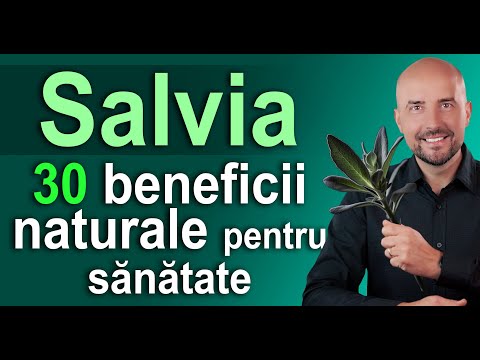 Salvia: Cum îmbunătățește