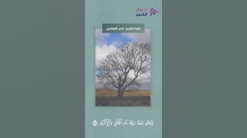 كُلُّ مَنْ عَلَيْهَا فَانٍ || القارئ ناصر القطامي