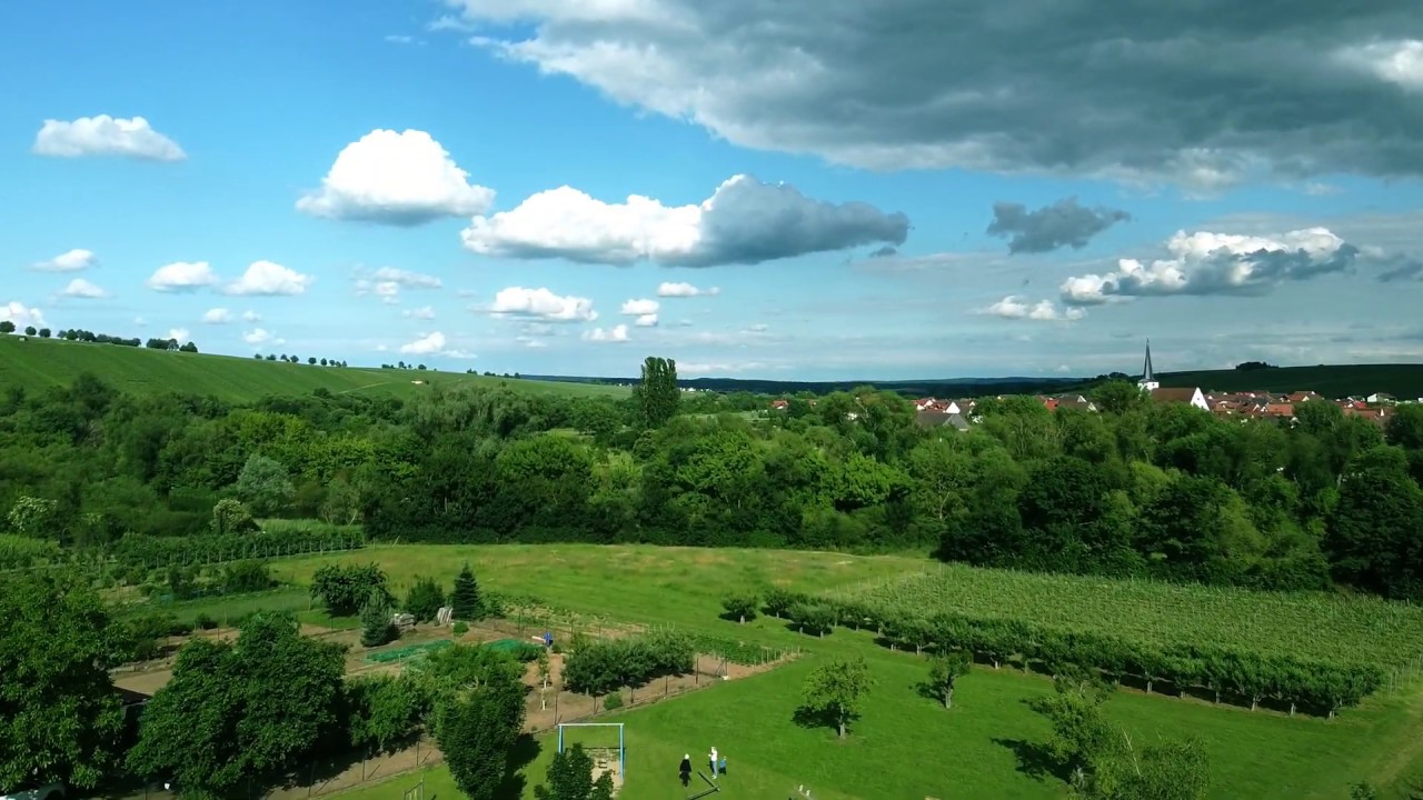 Escherndorf Drone Shots