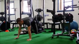 Howto: High Plank Cross Tap - Optimal Training & Healing | DYEVO