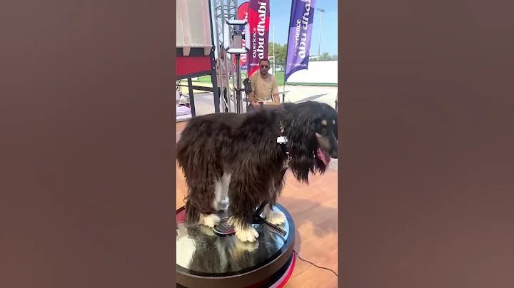 Here’s how 360 photo booth businesses 🗽🗽#360photobooth #360videobooth #froectry