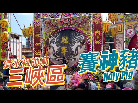 【2024年度】三峽祖師廟賽豬公 「1390台斤神豬」奪冠普度求平安！祖師廟賽豬公(每年農曆正月初六) #艾蛙媽vs達樂哥 #三峽 #三峽老街 #三峽祖師廟