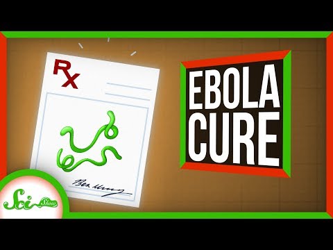 Video: Kan Veterinærmedisin Bidra Til å Finne Et Middel Mot Ebola?