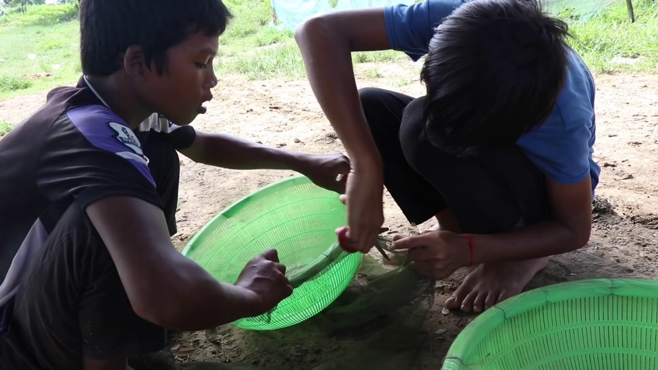 easy fishing pole drawing Awesome Creative Fish Trap Ideas With Big Baskets And Nets - Cambo Trap Baskets Net Fishing