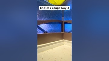 Endless Loops Day 2🗿 #funny #loop #makeup #endlessloop #satisfyingloop #skincare #perfectloop