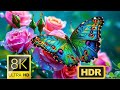 Nature in it's Perfection in 8K HDR Dolby Vision (8K 60fps Video)