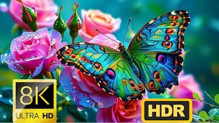 Nature in it's Perfection in 8K HDR Dolby Vision (8K 60fps Video)