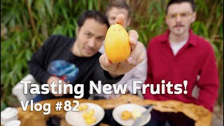 Fresh Dates? Medlar? Tasting New Fruits! RAW Vlog #82