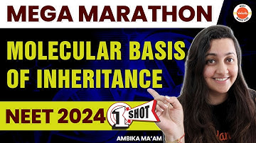 MOLECULAR BASIS OF INHERITANCE Class 12 One Shot - All Theory, Tricks & PYQ