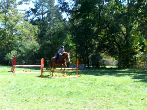 Beth & Charlie @ Carol Ogden Clinic