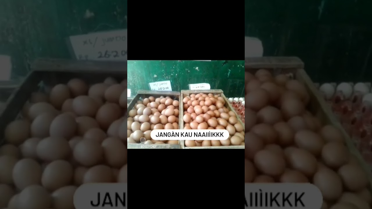 HARGA TERAKHIR 32RB SEKILO 