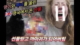 영이도 쭈니도 울게만든 영국에서 온 선물